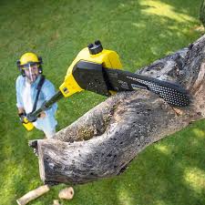 Lawn Grading and Leveling in Berlin, WI