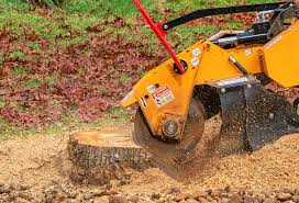Best Stump Grinding and Removal  in Berlin, WI