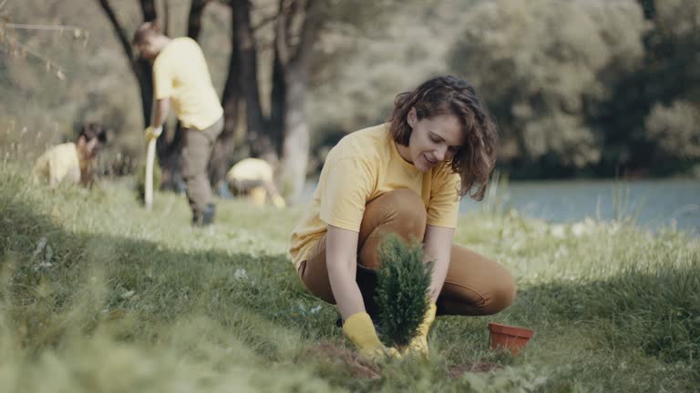 Best Organic Lawn Care Solutions  in Berlin, WI
