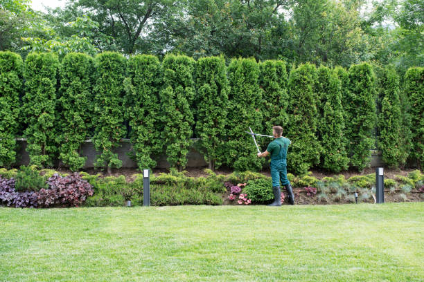Best Lawn Irrigation Installation and Maintenance  in Berlin, WI
