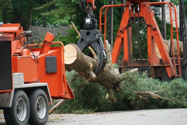 Best Lawn Watering Services  in Berlin, WI