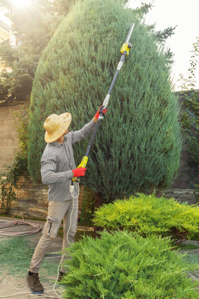 Best Hedge Trimming  in Berlin, WI