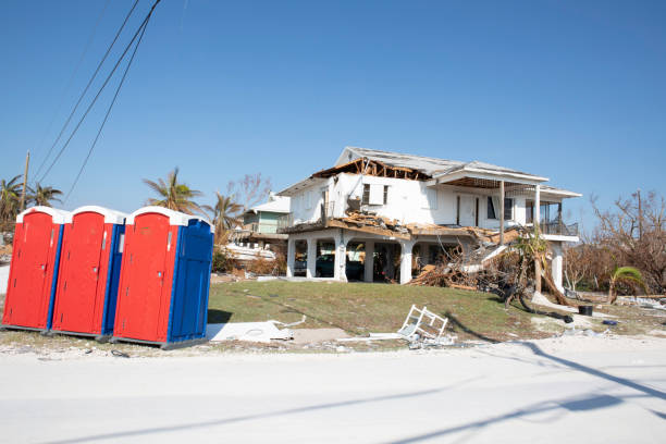 Best Tree Removal  in Berlin, WI